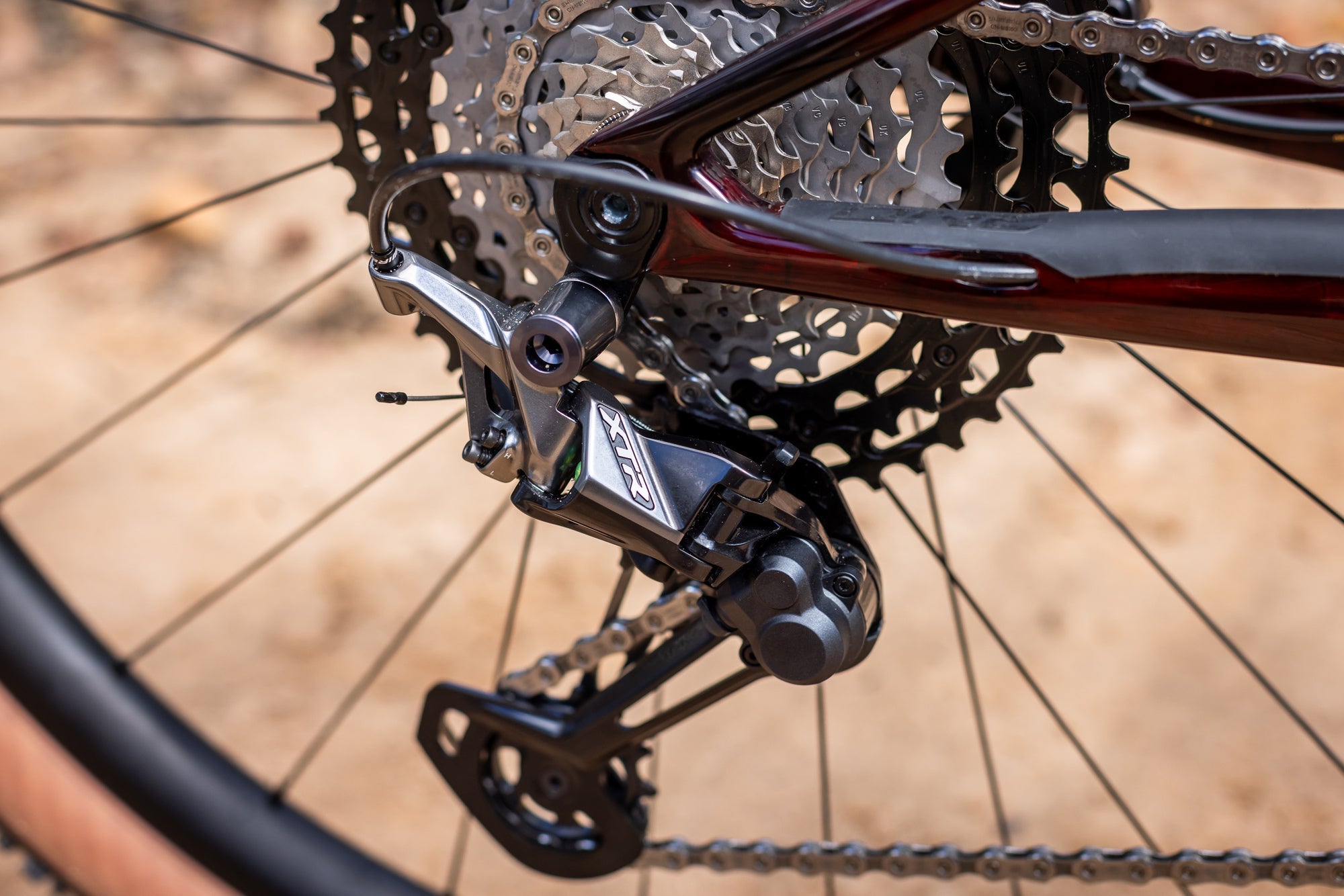 XF 29 Carbon XC Mountain Bike - Lightweight Full Carbon Frame, 29-Inch Wheels for Cross-Country Racing & Trail Riding | Perfect for Professional Cyclists & Mountain Adventures