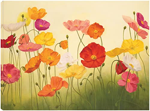 Sunlit Poppies