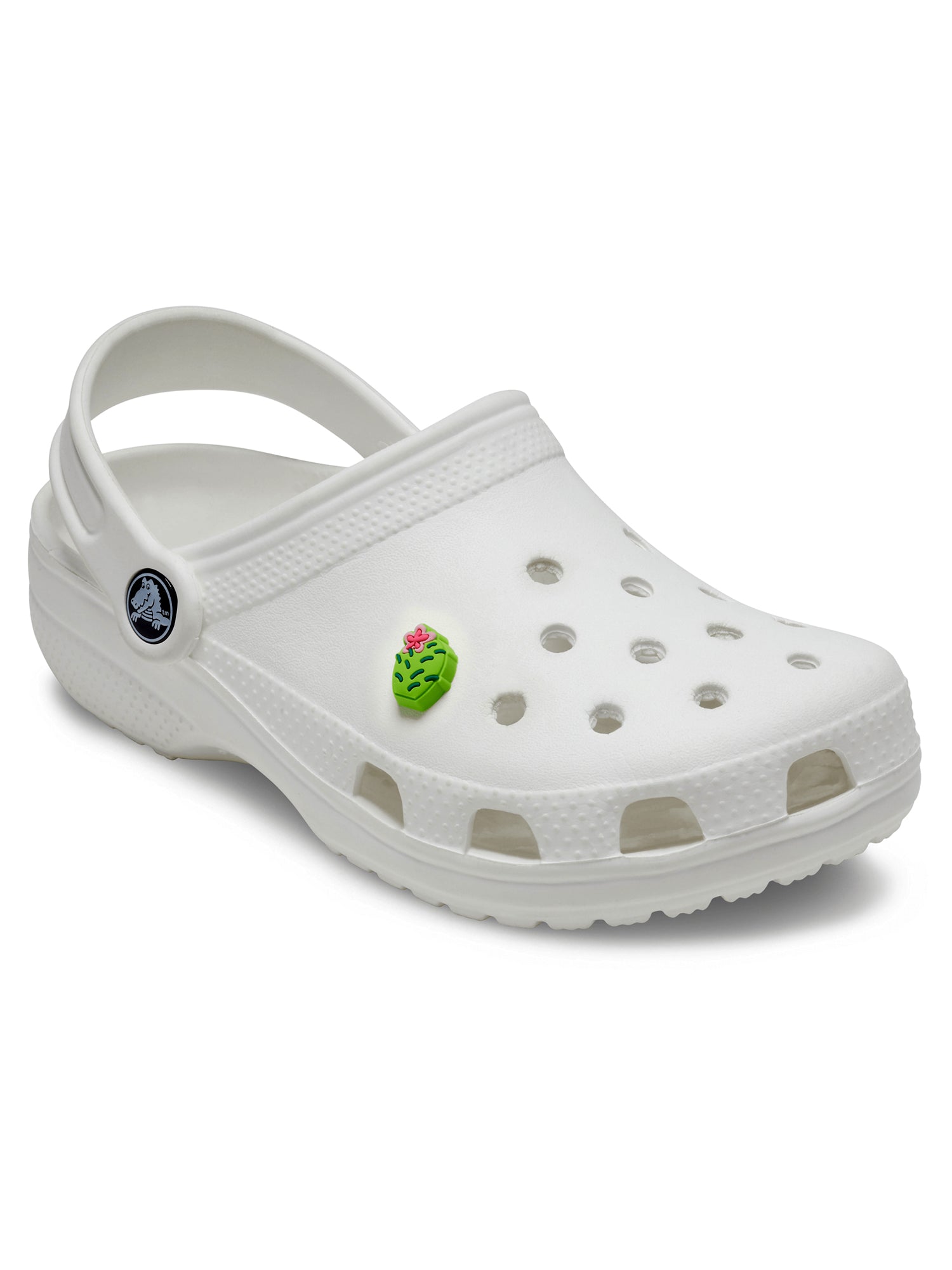 Crocs Jibbitz Flower Cactus Charms - Colorful Shoe Accessories for Crocs Shoes | Perfect for Kids & Adults, DIY Customization, Gifts & Everyday Wear