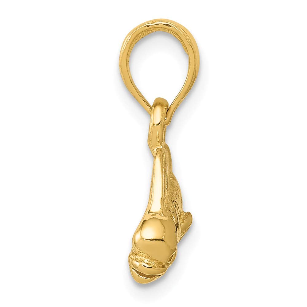 14K Solid Yellow Gold Mahi Mahi Fish Pendant Necklace - Hawaiian Jewelry for Women, Men - Perfect for Beach Vacations, Surfing Gifts & Tropical Themed Parties