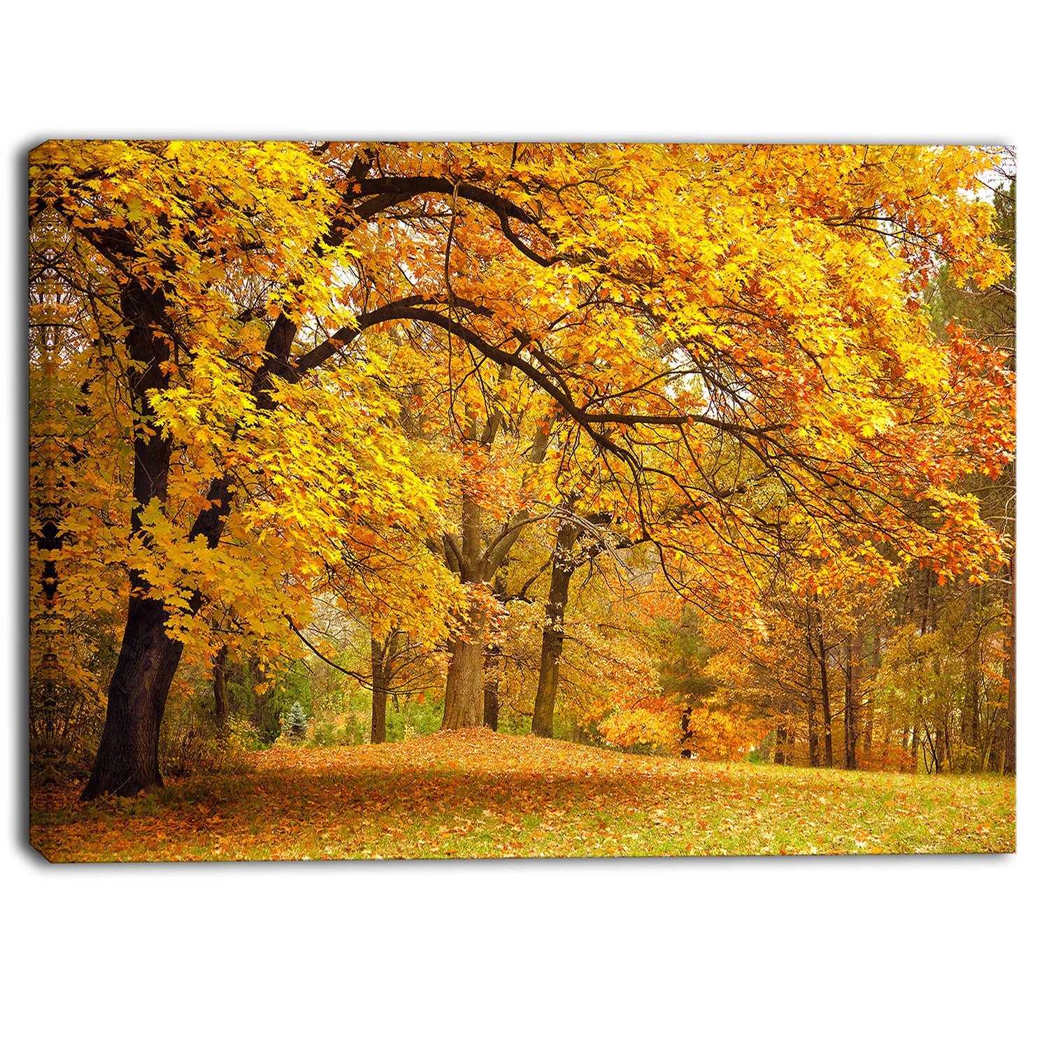 Golden Autumn Forest Landscape Photography Canvas Print - Stunning Nature Wall Art for Living Room, Bedroom & Office Decor