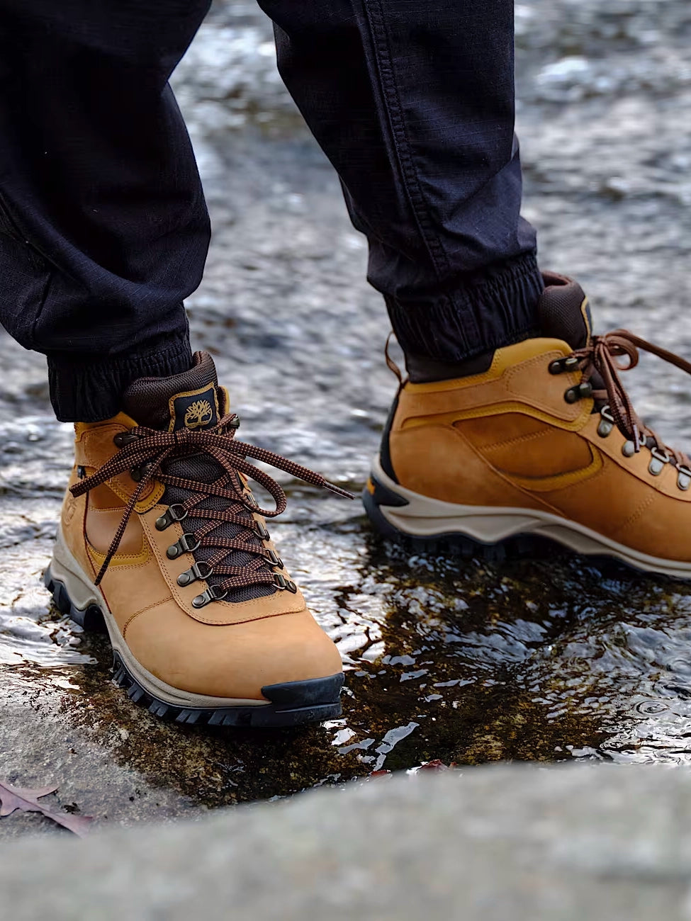 Timberland Mt. Maddsen Mid Waterproof Hiking Boots for Men - Beige Leather Outdoor Boots for Trekking, Camping & Mountain Adventures