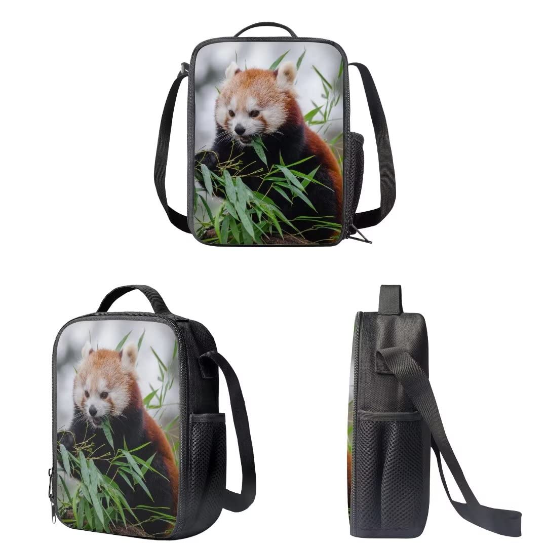AmzPrint 17 Inch Cute Kawaii Backpack for School - Lightweight 3-in-1 Red Panda Backpack Set for Girls, Boys, Kids & Teens - Perfect for School, Travel, and Daily Use