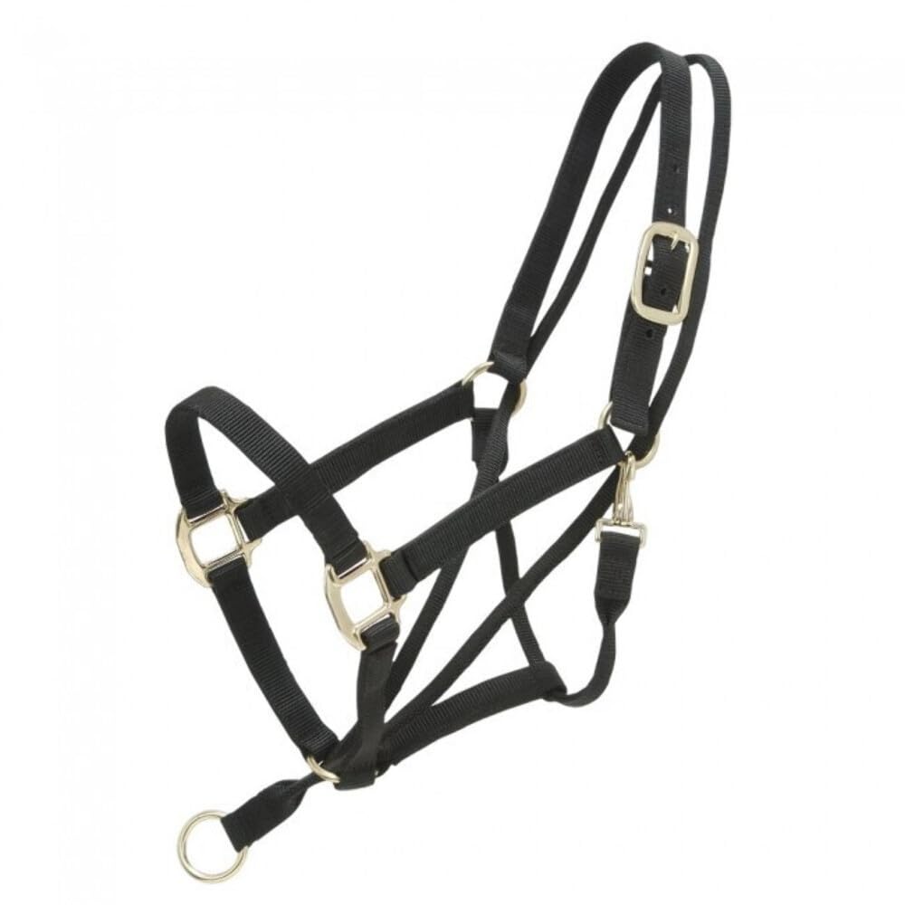 Tough 1 Black Horse Halter - Durable Pull-Back for Riding & Training