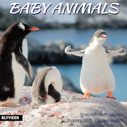 Babyanimals02