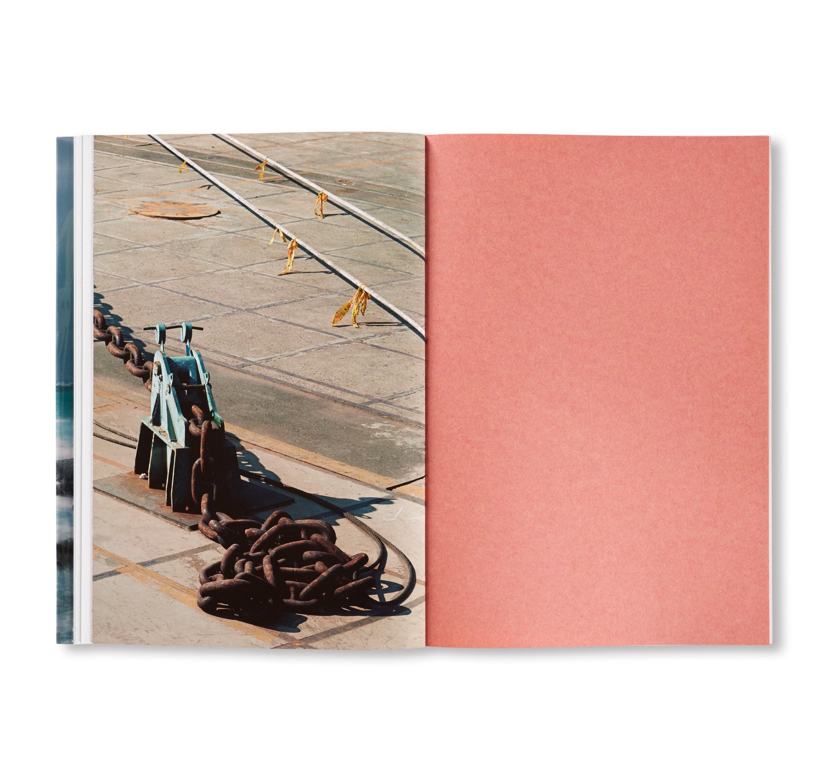 Nature & Politics by Thomas Struth - Fine Art Photography Book for Collectors - Perfect for Home Decor, Office Display & Art Enthusiasts