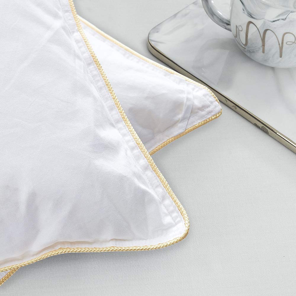Premium 750+ Fill Power All Seasons Goose Down Comforter - Hypoallergenic 100% Cotton Shell with Down Proof Tabs - Queen Size White Duvet Insert for Bedroom Luxury (28oz, 1000 Thread Count) - Perfect for Master Bedrooms, Guest Rooms & Cozy Winter Nights