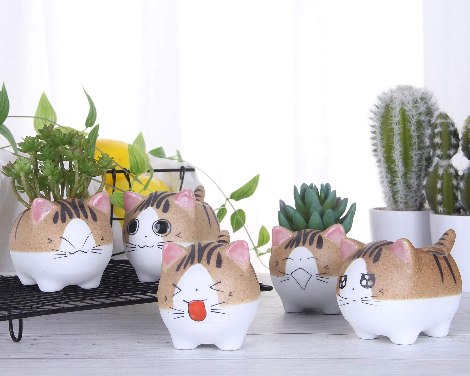 VanEnjoy 4.7 Inch Large Cat Succulent Planter - Ceramic Flower Pot with Drainage Hole, Handmade Cat Lover Gift for Office Desk, Home Decor & Garden Planting