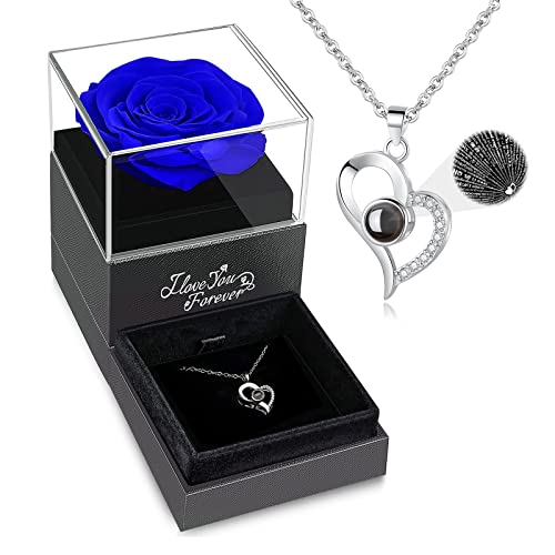 C_blue Rose