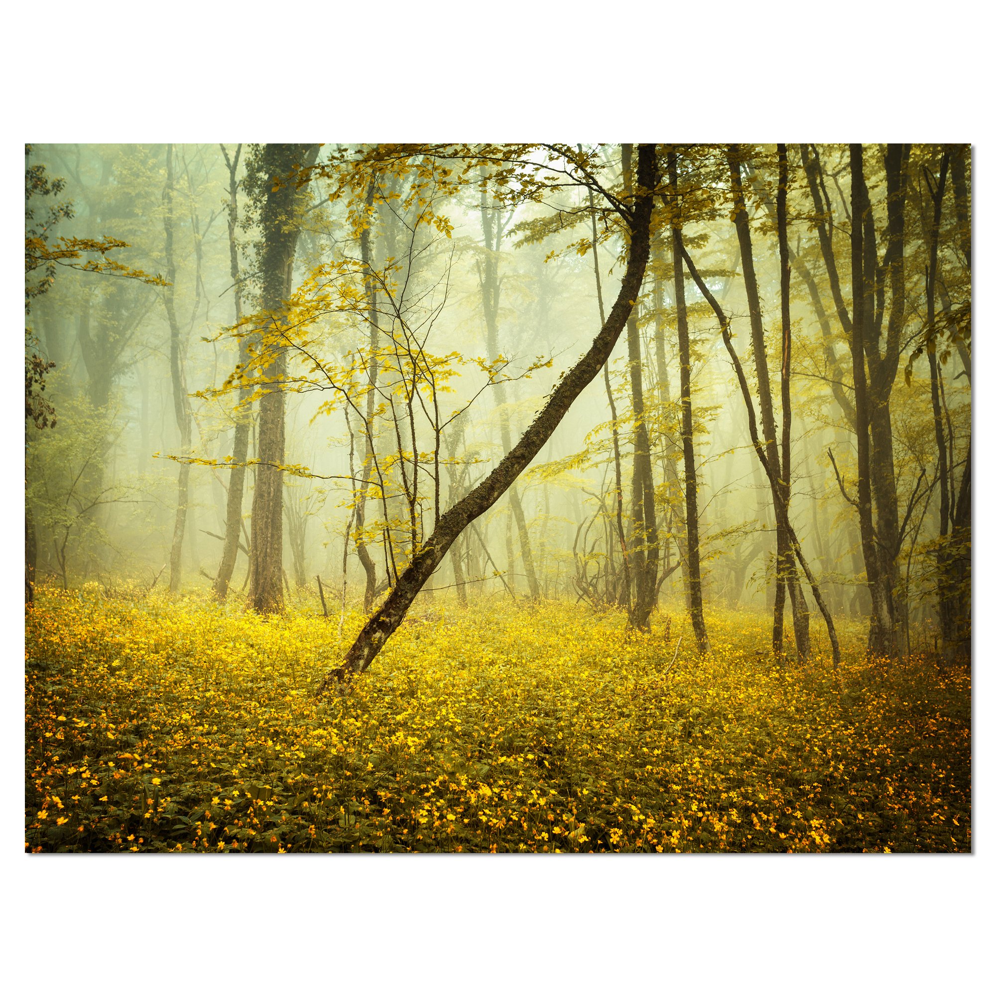Yellow Flower Forest Landscape Canvas Print - Nature Wall Art for Living Room, Bedroom & Office Decor