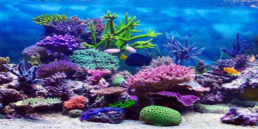Underwater 2