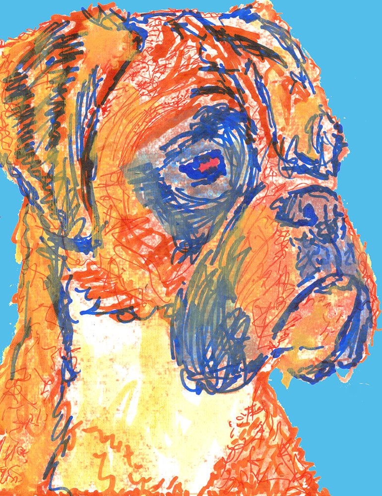 Colorful Boxer Dog Wall Art Print - Unique Gift for Boxer Dog Owners & Boxer Moms - Blue Boxer Dog Line Art Decor for Living Room, Bedroom or Office