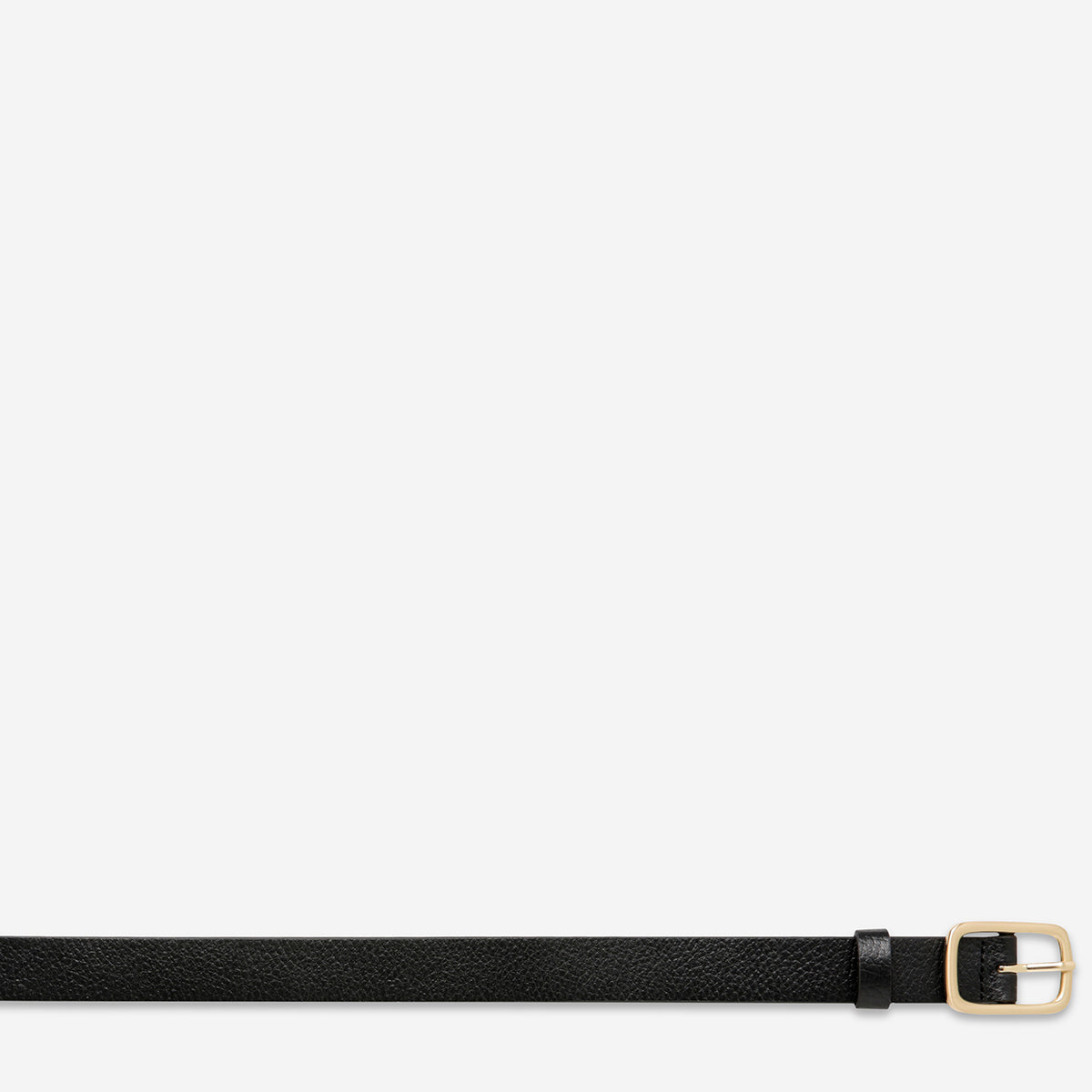 Nobody's Fault Belt - Stylish Black & Gold Adjustable Waist Belt for Men & Women | Perfect for Casual Wear, Office Outfits & Special Occasions