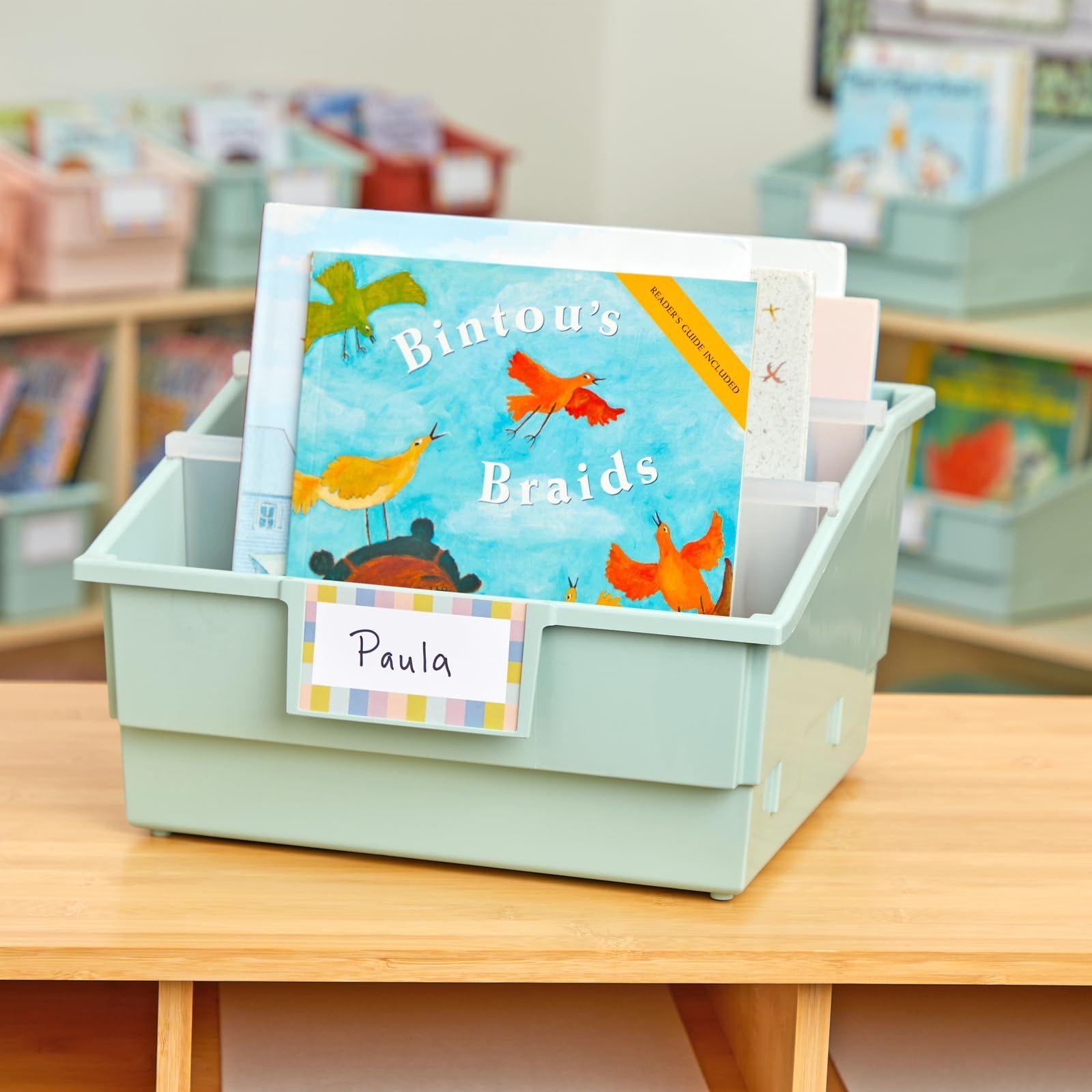 Really Good Stuff Picture Book Classroom Library Bins with Dividers - 6 Pack - Mint Green | Durable Book Storage for Teachers | Perfect for Classroom Organization, Homeschooling & Kids' Reading Corners