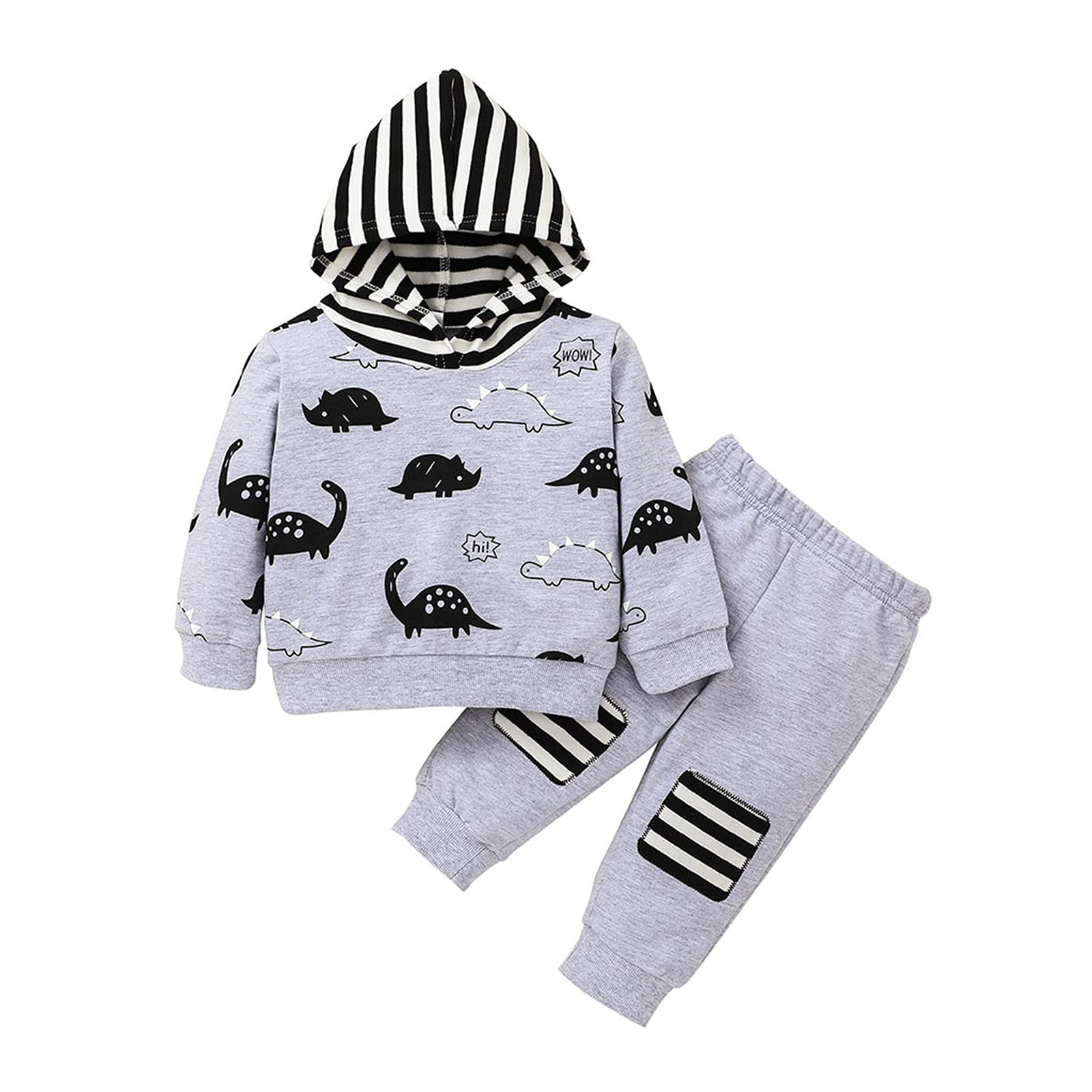 Dinosaur Hooded Sweatshirt & Pants Set for Toddler Boys & Girls - Cute Baby Clothes Outfit for Infants & Kids - Perfect for Playtime, Daycare & Family Photos