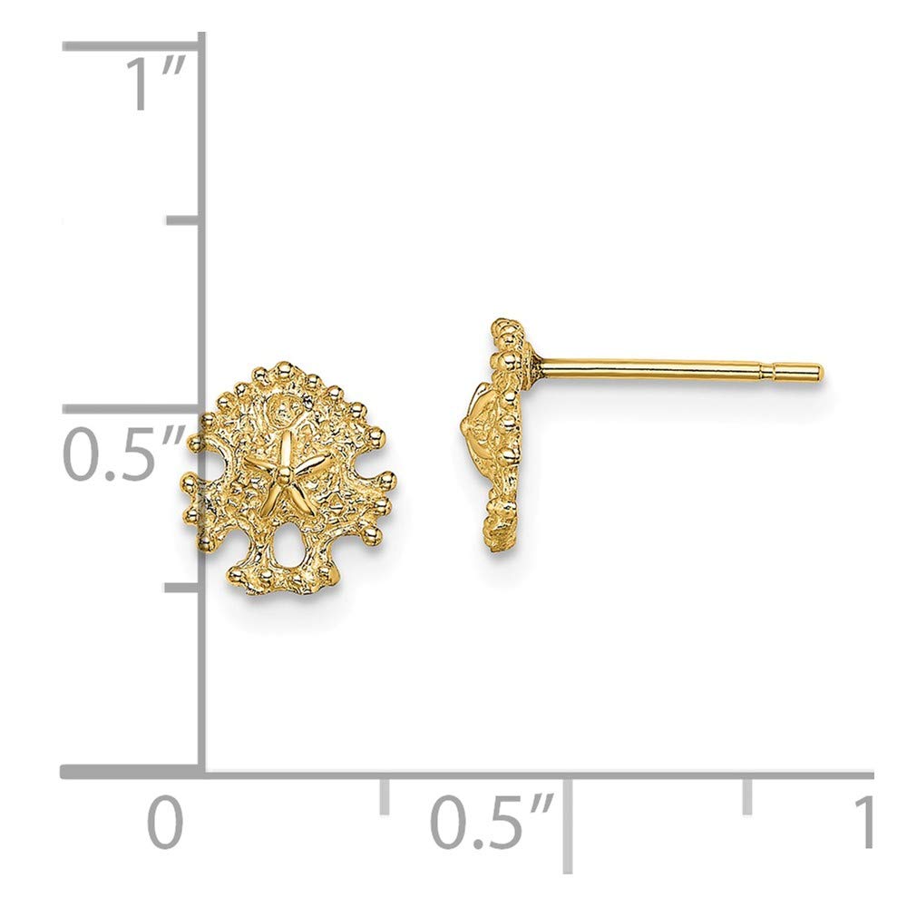 14K Yellow Gold Mini Sand Dollar Post Earrings – Dainty Beach-Themed Jewelry for Women | Perfect for Summer, Vacations & Coastal Weddings