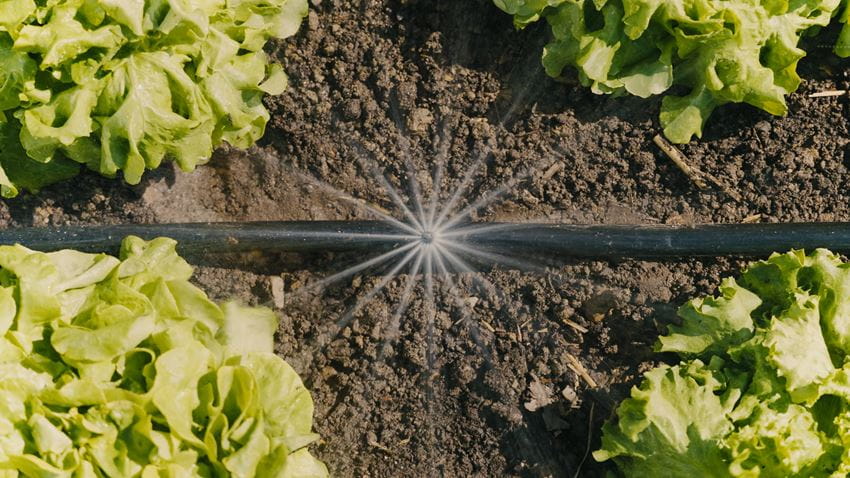 **Gardena Micro Drip Irrigation Kit for Vegetable Beds & Flower Borders – Covers 60 m² – Efficient Watering System for Gardens & Greenhouses**