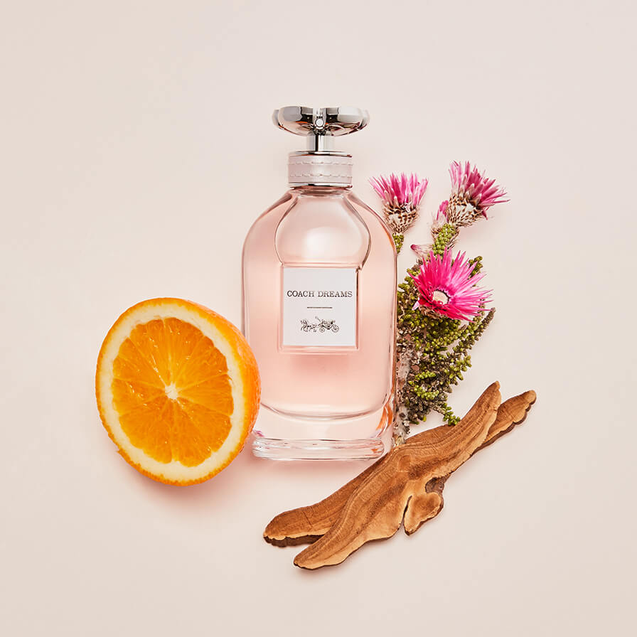 Dreams Eau de Parfum Spray for Women - Long Lasting Floral Fragrance | Perfect for Date Night, Office & Special Occasions