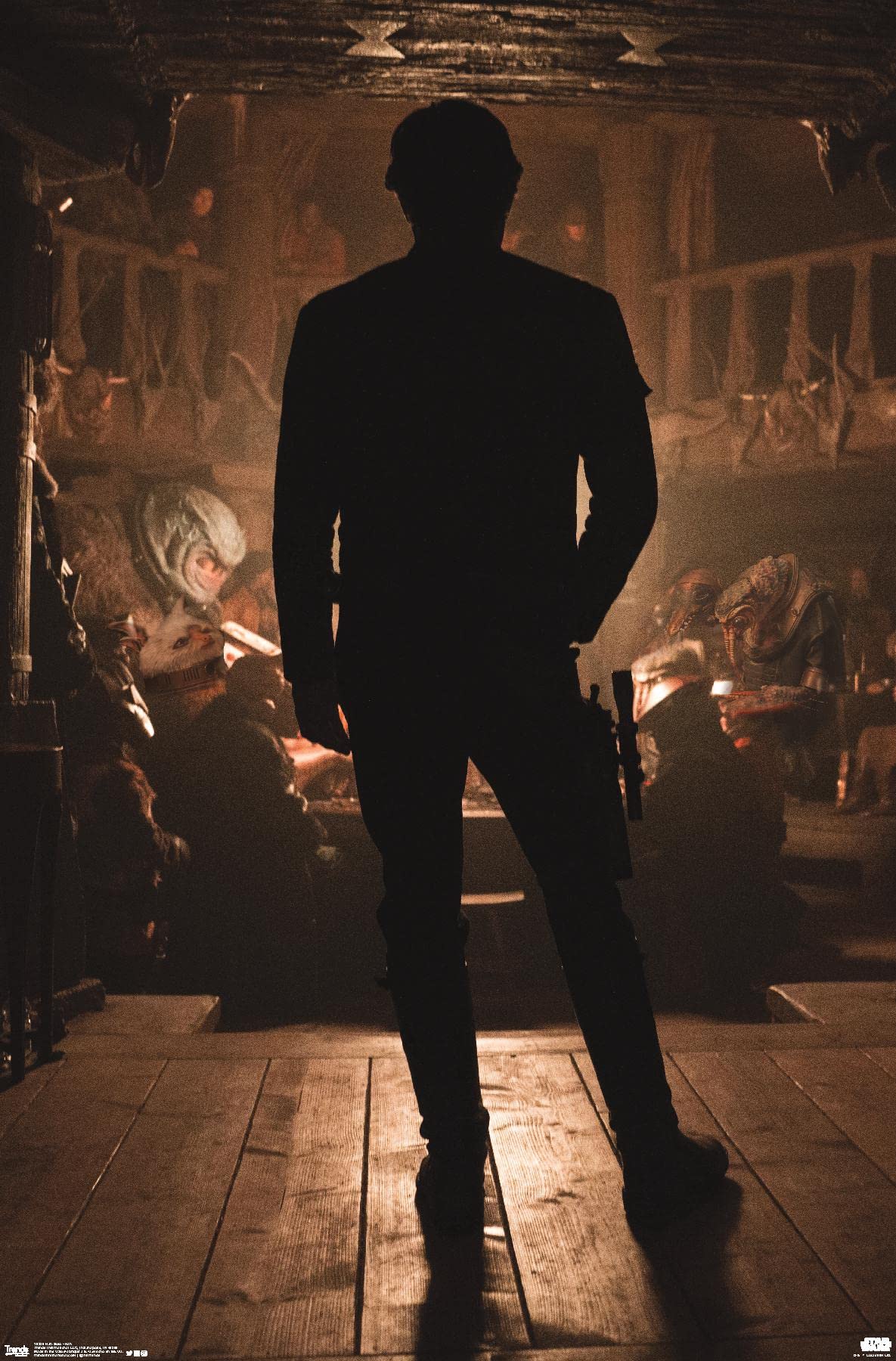 Star Wars Han Solo Movie Poster 22.4