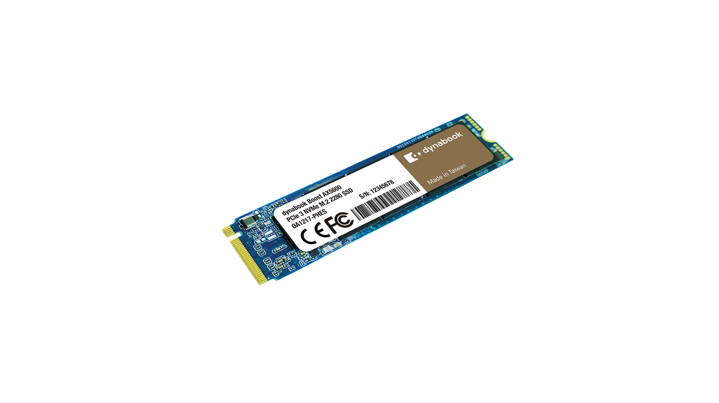 Dynabook AX5600 M.2 NVMe 2280 SSD - 1TB High-Speed Internal Solid State Drive for Laptop & Desktop PC | Fast Data Transfer, Gaming, Video Editing & OS Upgrade
