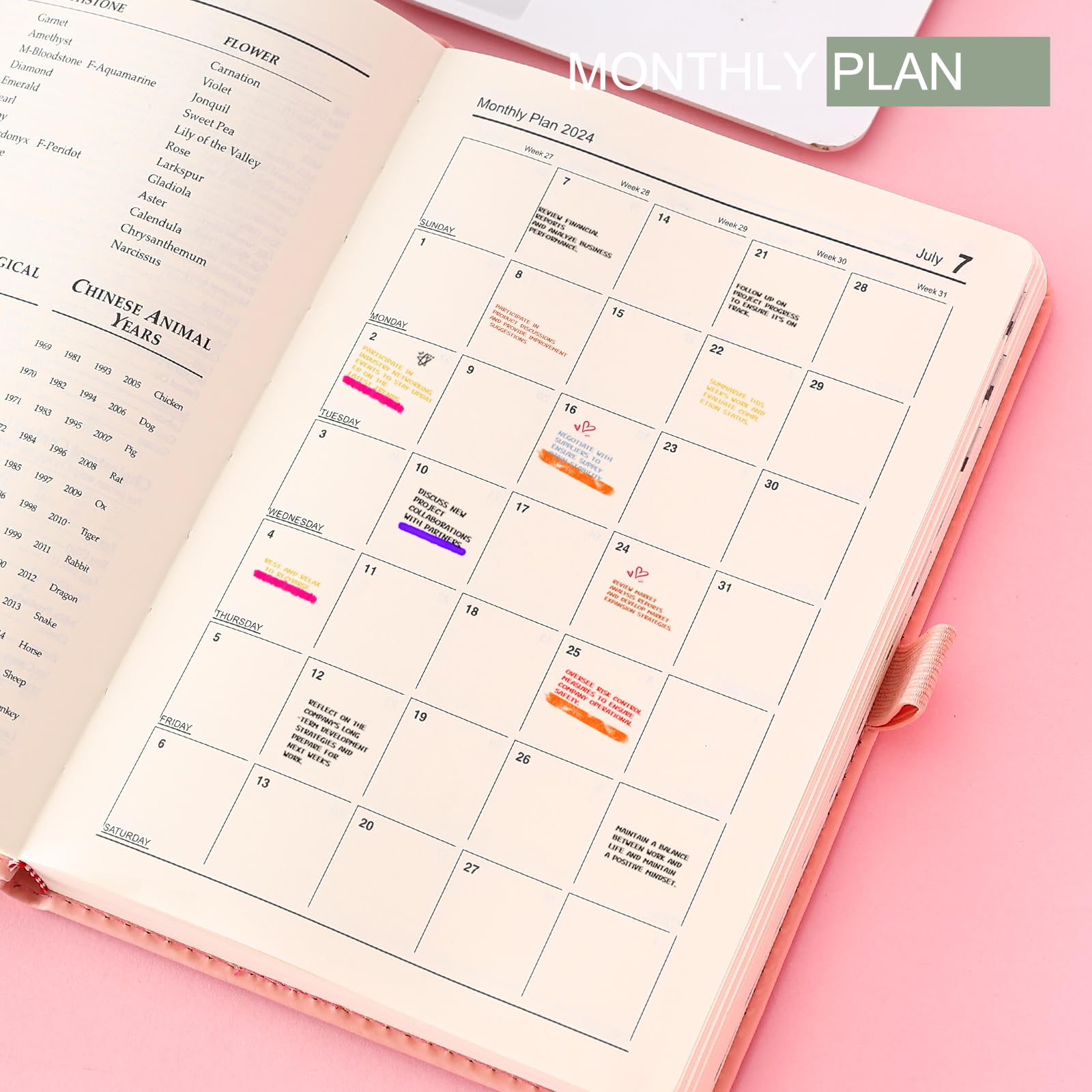2024-2025 Academic Planner & Daily Diary - July 2024 to June 2025 Weekly/Monthly Organizer with Pen Holder & Tabs - Perfect for Students, Professionals & Goal Tracking (Pink)