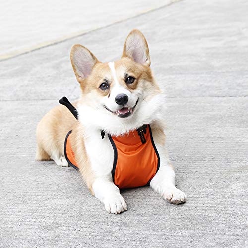 Waterproof Dog Belly Vest - Warm Pet Apron Cover Protector for Small Dogs, Puppies & Corgis - Ideal for Cold Weather, Indoor/Outdoor Use & Post-Surgery Protection