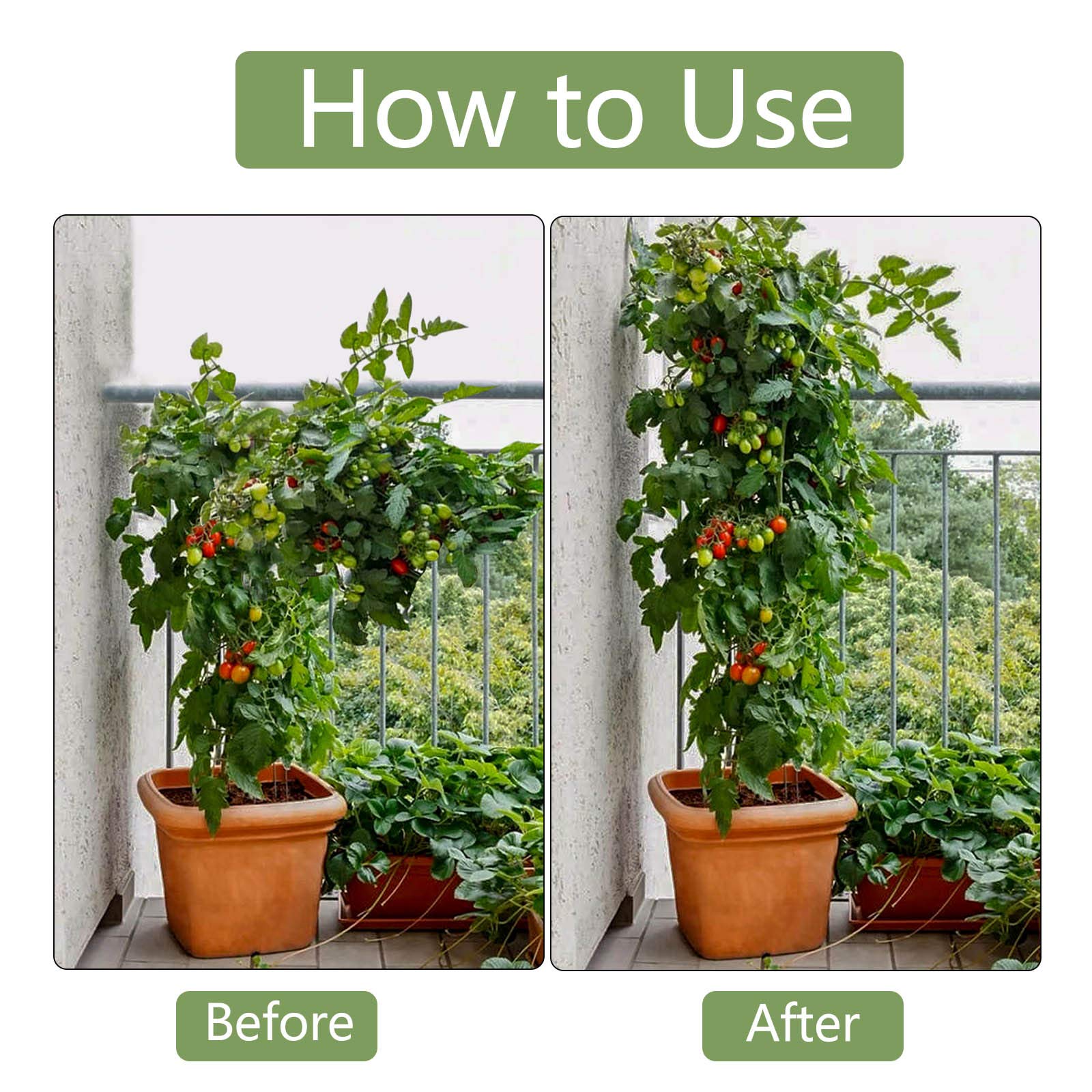 10 Pack 8mm x 150cm Steel Garden Plant Stakes - Heavy Duty Plant Support Sticks for Climbing Plants, Vines, Tomatoes - Perfect for Outdoor Gardening, Greenhouses & Vertical Growing Systems