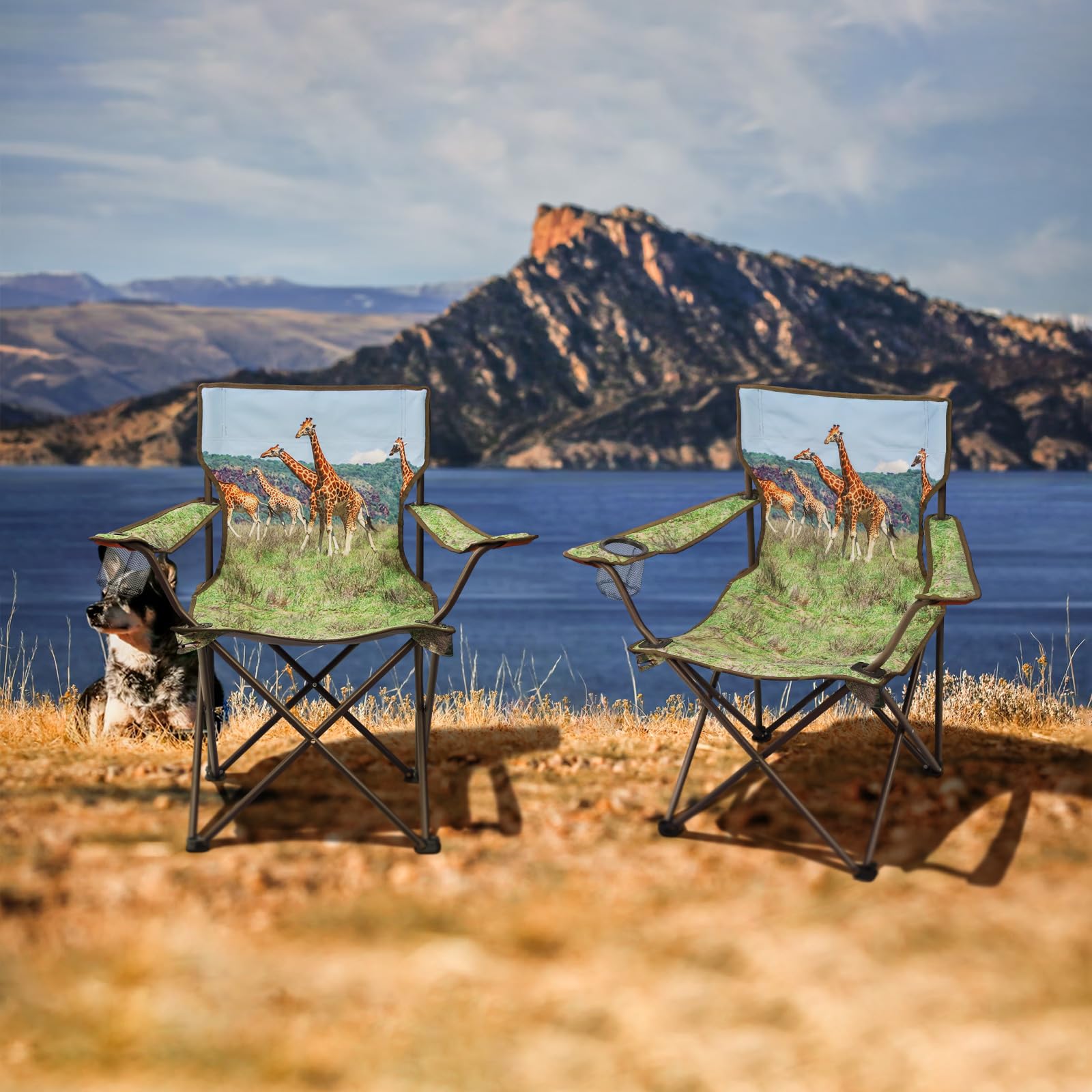 Northroad 2-Pack Portable Folding Camping Chairs - Lightweight Collapsible Hunting Chairs with Animal Print Design for Outdoor, Travel, Beach, Fishing, Picnics, Backyard, and Garden Use - Perfect for Camping Trips, Tailgating, and Outdoor Adventures