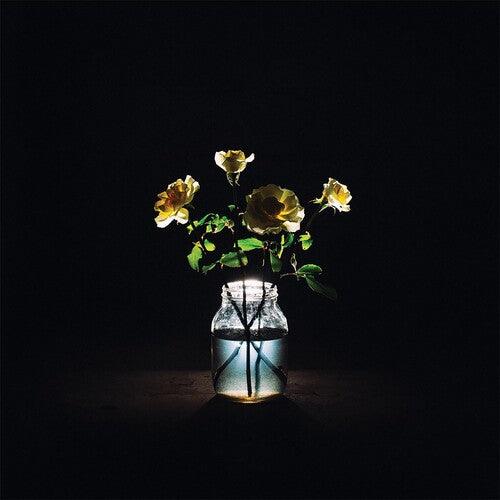 Billy Strings - Renewal (2LP Black Vinyl) | Limited Edition Vinyl Record | Folk & Bluegrass Music | Perfect for Collectors & Music Lovers | Great for Home Listening & Gifts