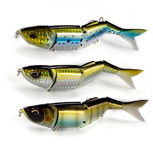 C-4-Segmented Bait