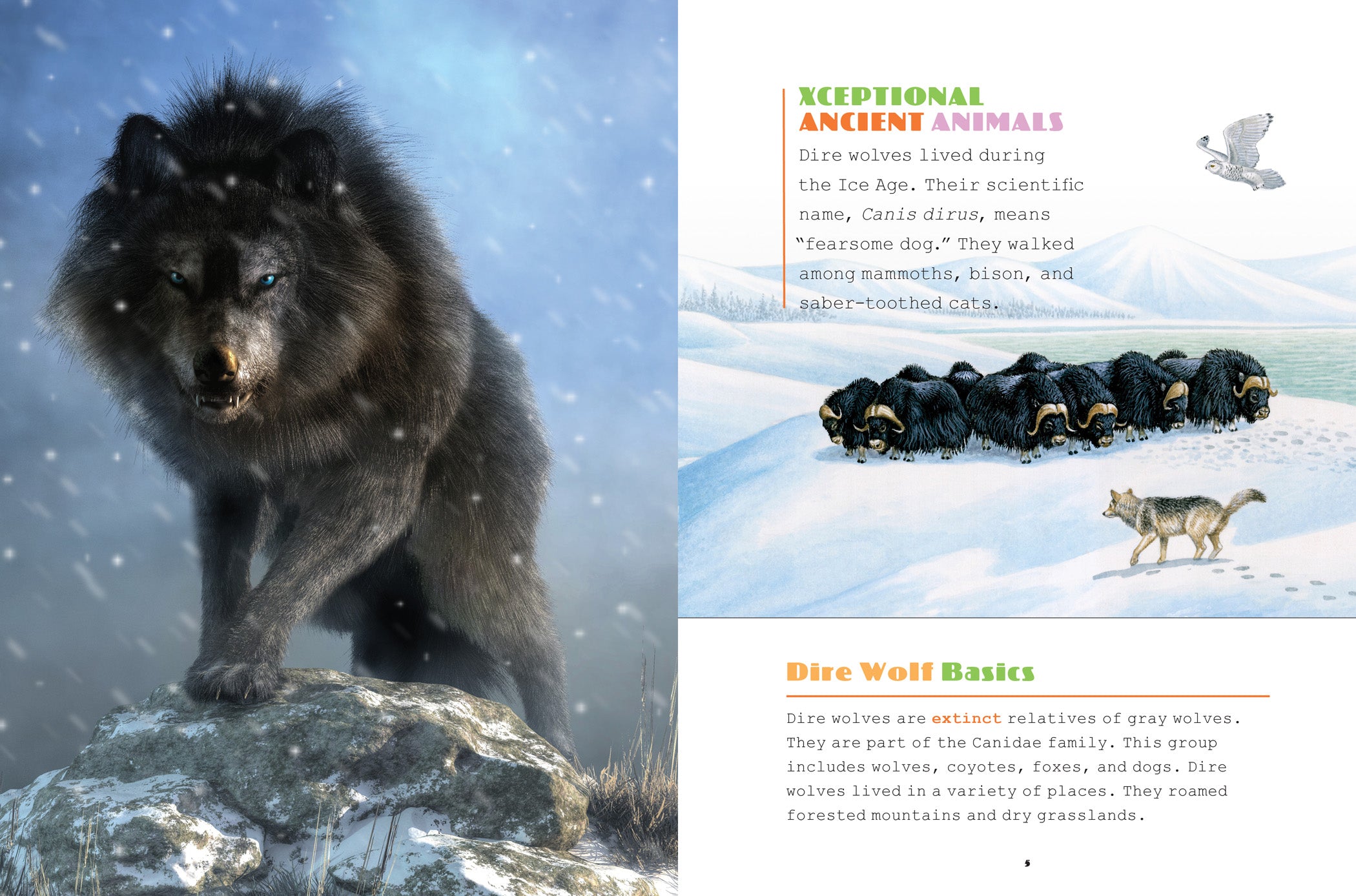 Dire Wolves Book 9781640264335 - Prehistoric Predators, Ice Age Wildlife - Perfect for Paleontology Enthusiasts & Nature Lovers