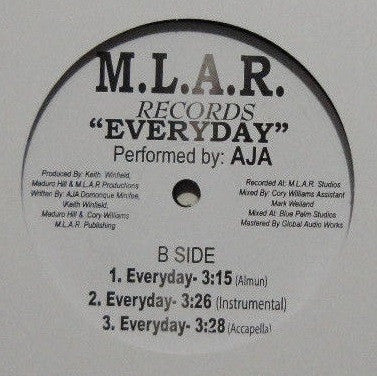 Aja (17) Let Go / Everyday (12) Vinyl Record - NM or M Condition - Perfect for Jazz Lovers & Vinyl Collectors
