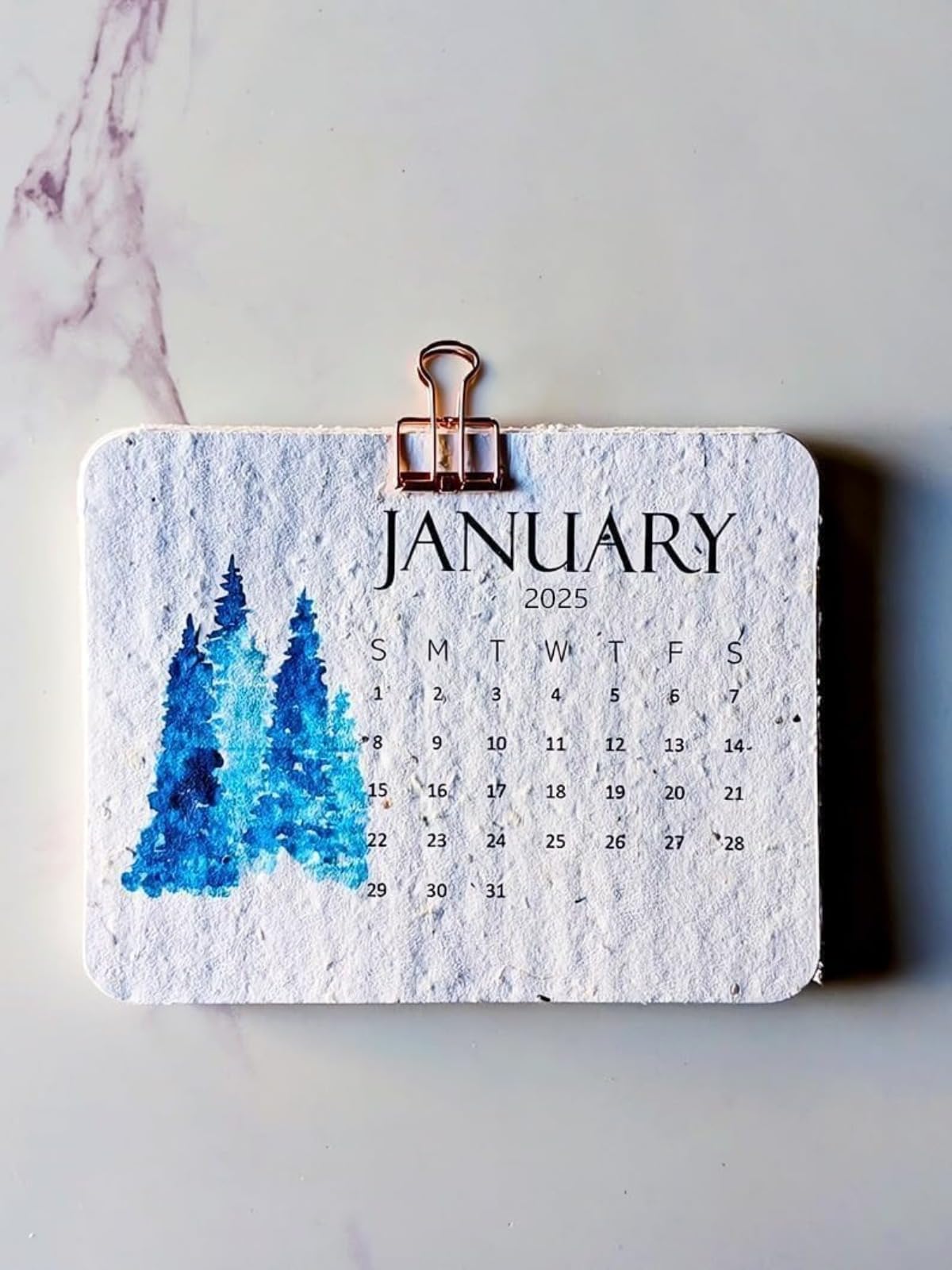 2025 Plantable Seed Calendar - Eco-Friendly Greenery Planner with Growable Herbs & Flowers | January to December Monthly Organizer | Perfect for Home Office, Kitchen & Sustainable Gardening Gifts