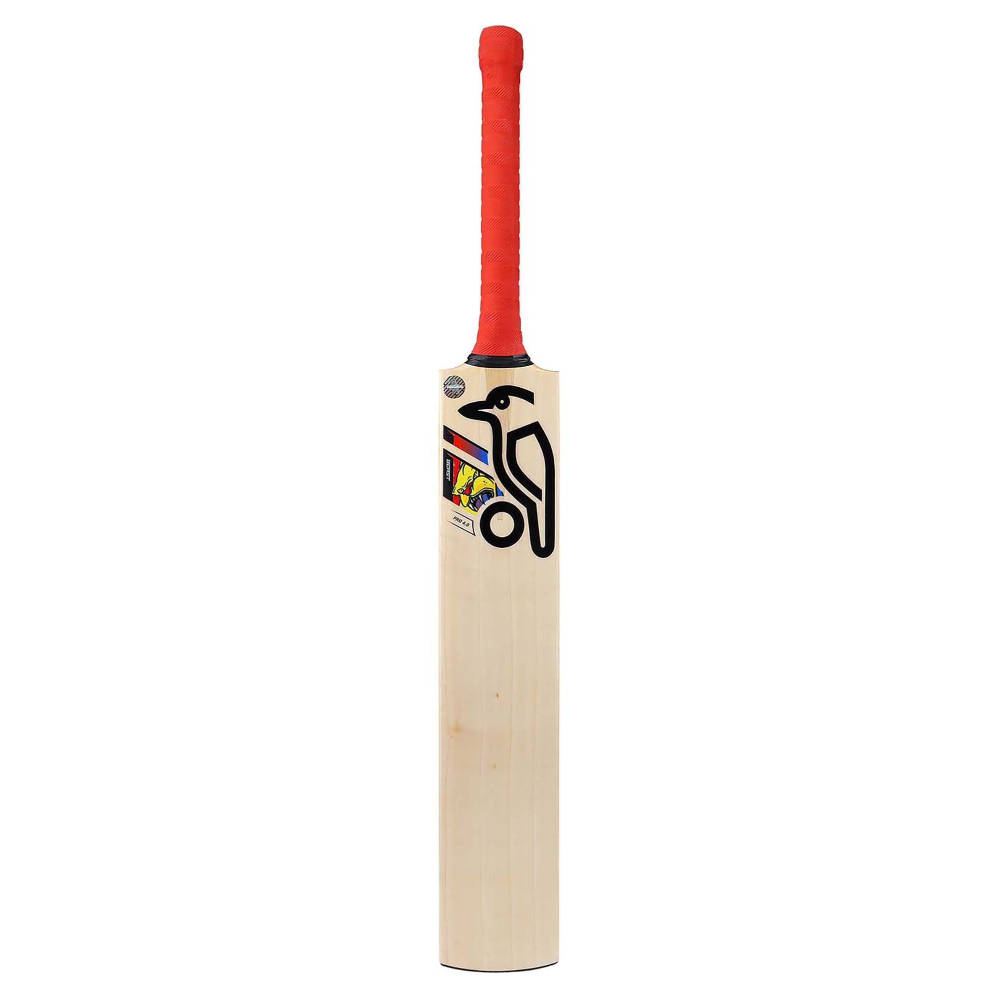 Beast Pro 4.0 Cricket Bat - Premium English Willow with Perfect Weight Balance | Ideal for Professional Matches & Training Sessions