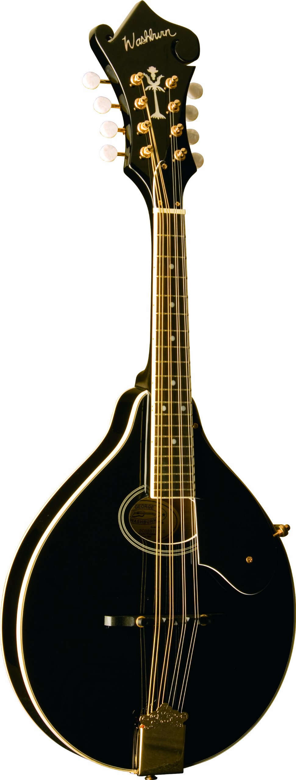 Washburn Americana M1SD Acoustic Mandolin - Professional Quality for Bluegrass, Folk & Country Music - Perfect for Performances, Recording & Practice