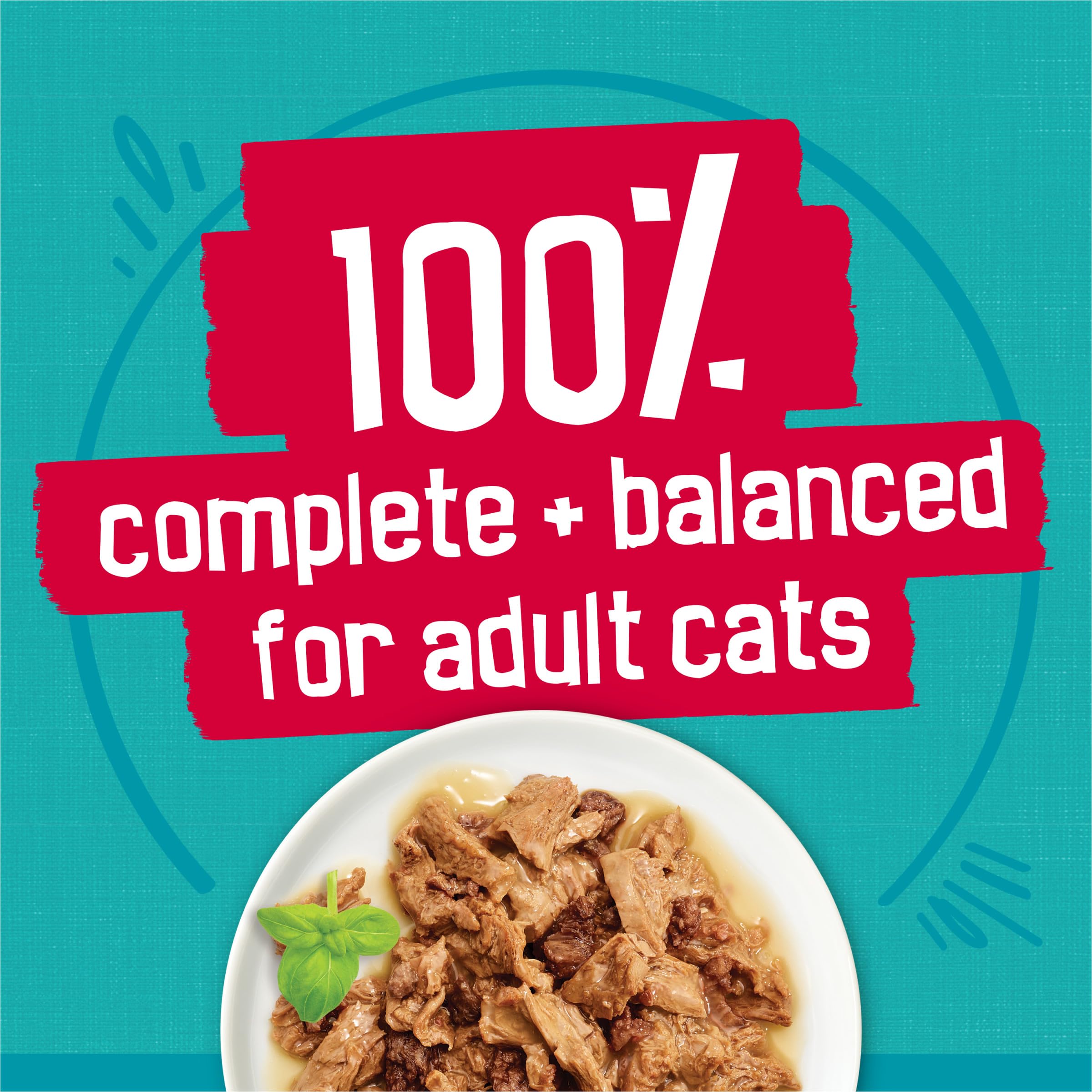 Purina Friskies Wet Cat Food Variety Pack - 12 Cans (5.5 oz Each) | Ocean Fish, Tuna, Chicken & Turkey Prime Filets | High Protein Cat Food for Adult Cats | Perfect for Mealtime, Travel & Picky Eaters
