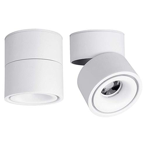 White-Dimmable