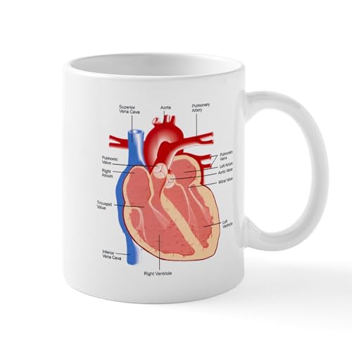 White - Human Heart Anatomy Mug