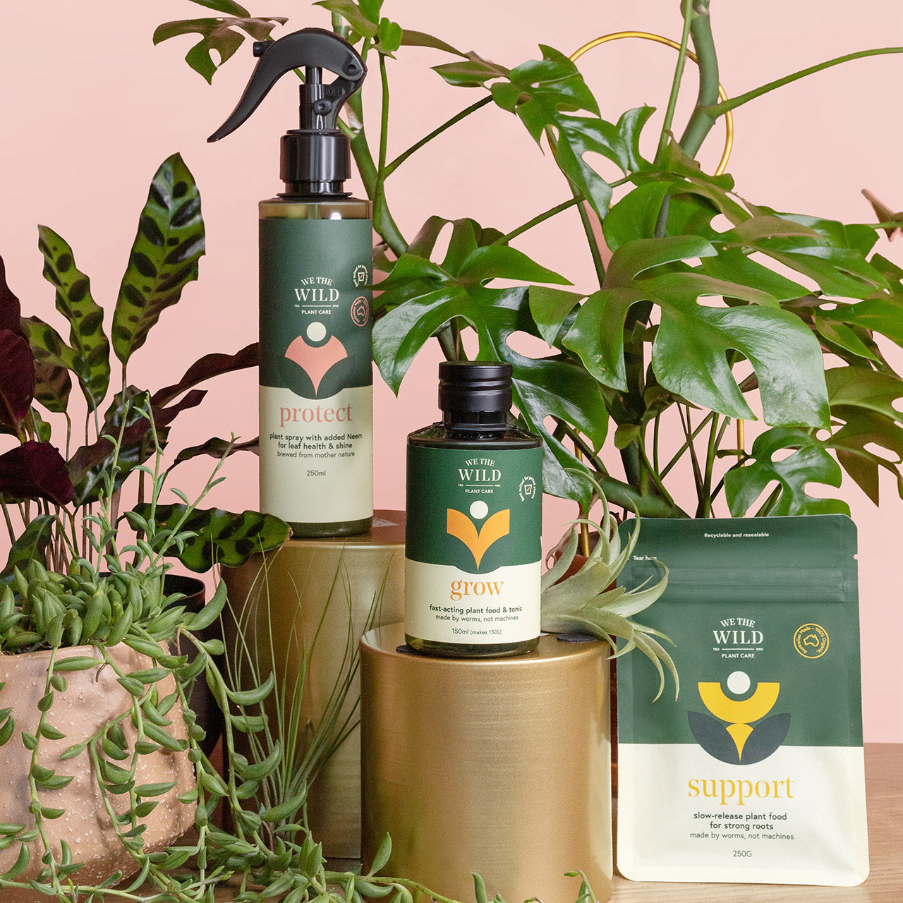 House Plant Care Essentials Kit - Complete Indoor Plant Maintenance Set with Watering Can, Pruner & Fertilizer | Perfect for Home, Office & Garden Plant Care