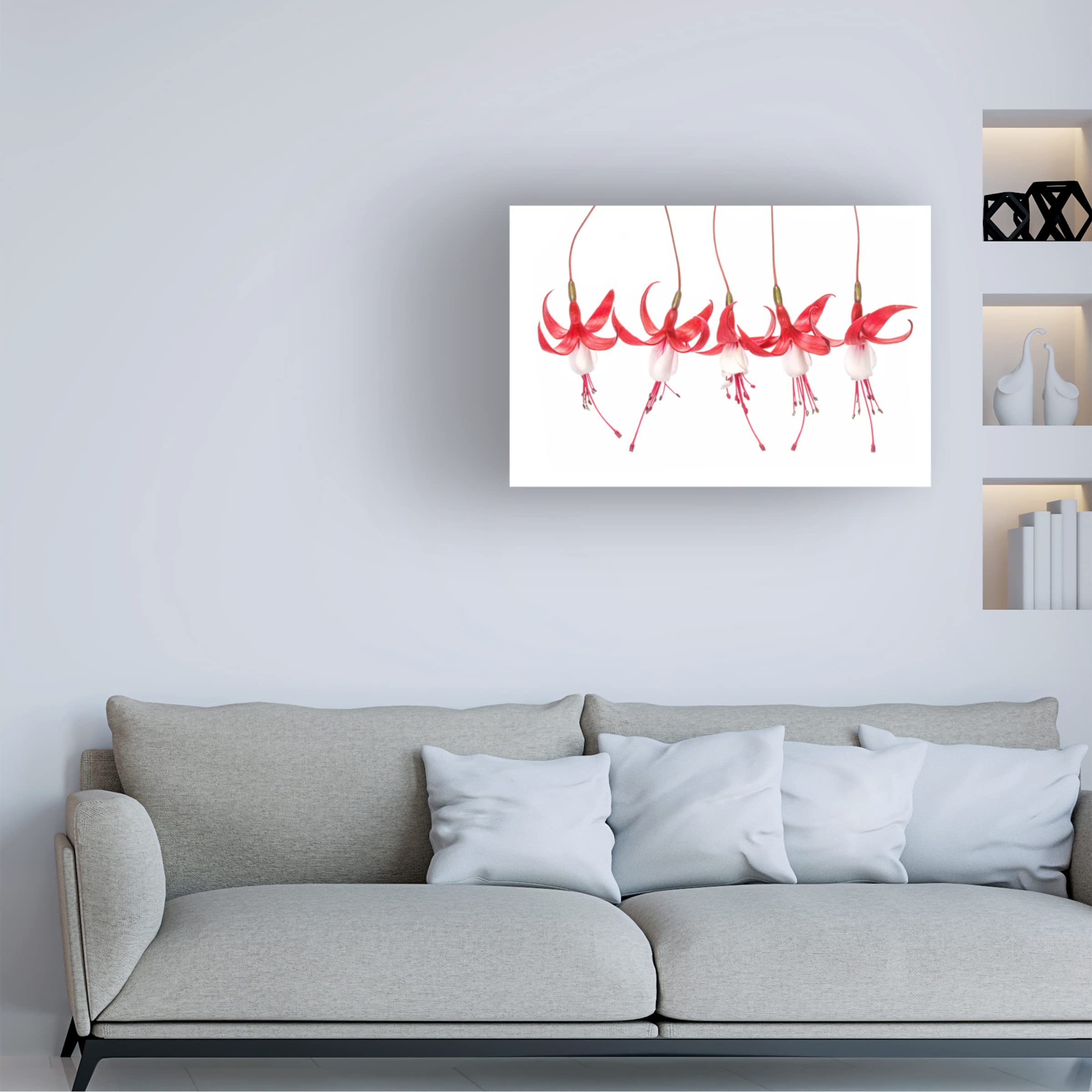 Trademark Fine Art 'Fuchsia' Canvas Wall Art by Mandy Disher - Vibrant Floral Painting for Living Room, Bedroom & Office Decor