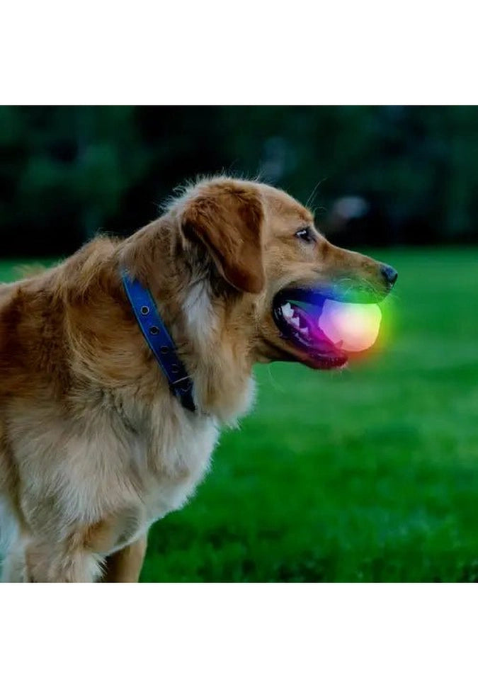 Nite Ize GLOWSTREAK WILD LED Ball & Disc - High Visibility Glow in The Dark Dog Toy for Nighttime Fetch, Outdoor Play, and Beach Activities