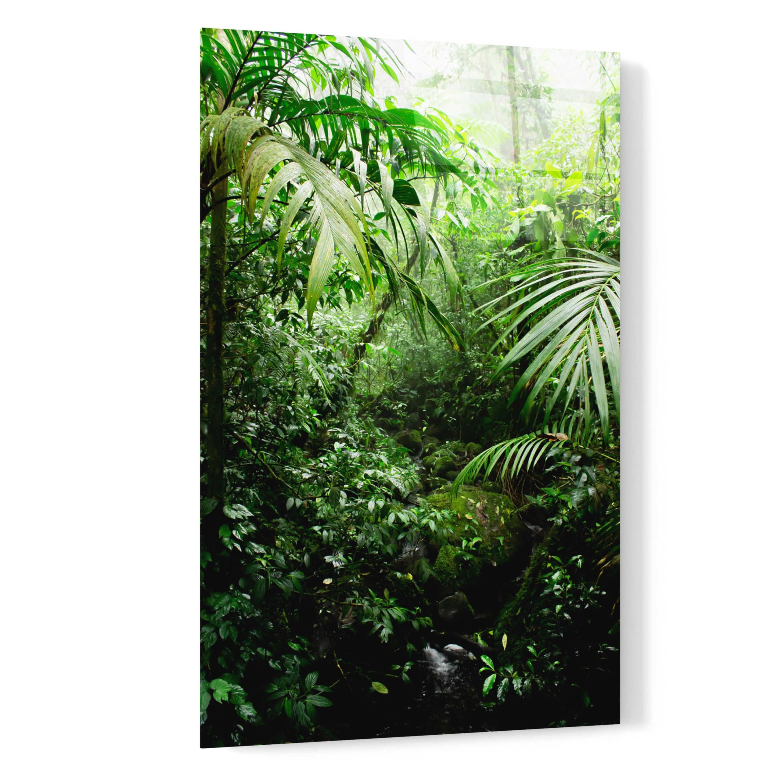 Nicklas Gustafsson 'Misty Rainforest Creek' Acrylic Glass Wall Art - 16x24 Inches Modern Nature Painting for Living Room, Bedroom & Office Decor