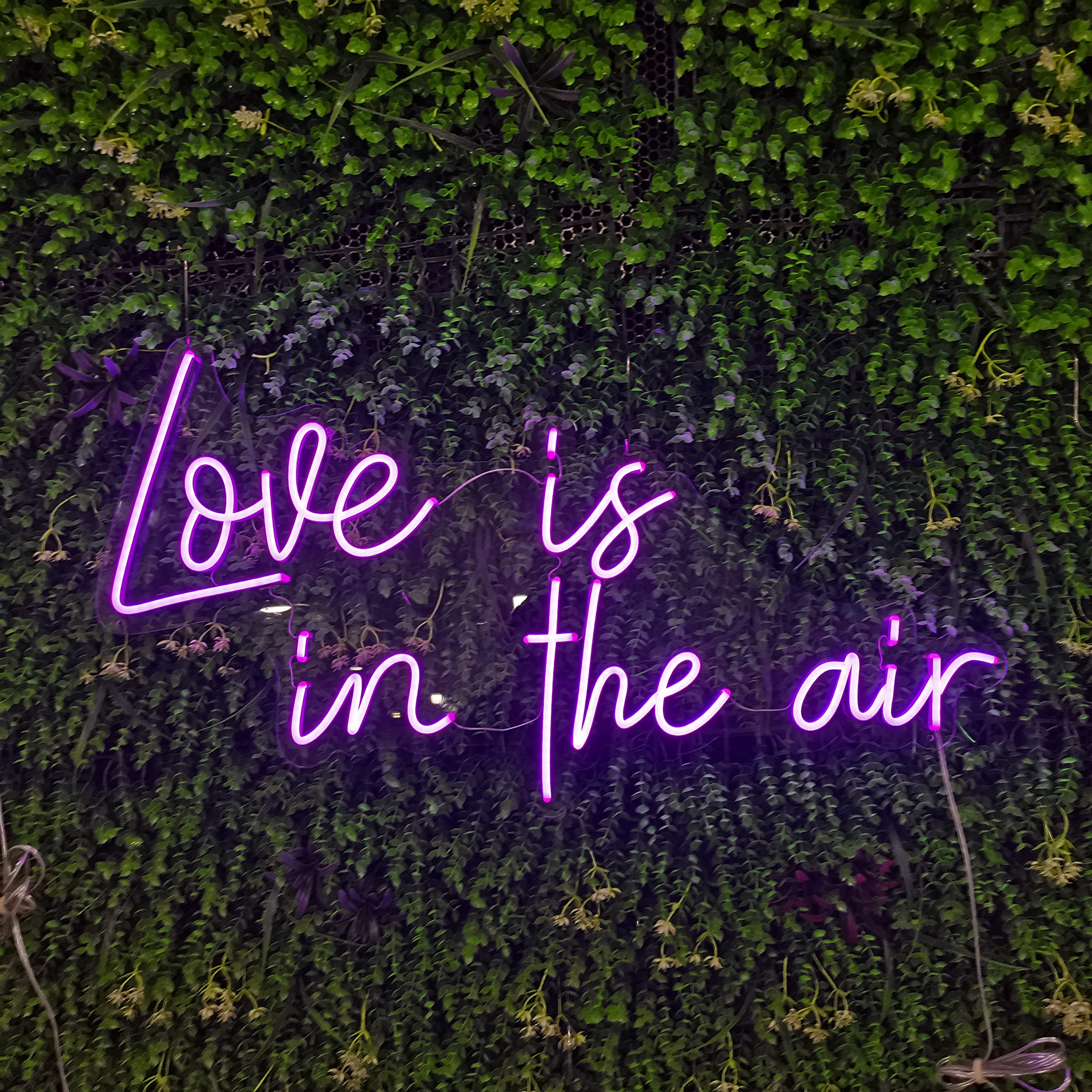 Custom Neon Sign - Personalized Large LED Neon Light for Bedroom, Wedding, Birthday Party, Prom, Home, Shop, Bar Decor - Wall Art Gift with 2 Lines Text (25 Inches) - Perfect for Home Decor, Business Signs & Special Occasions