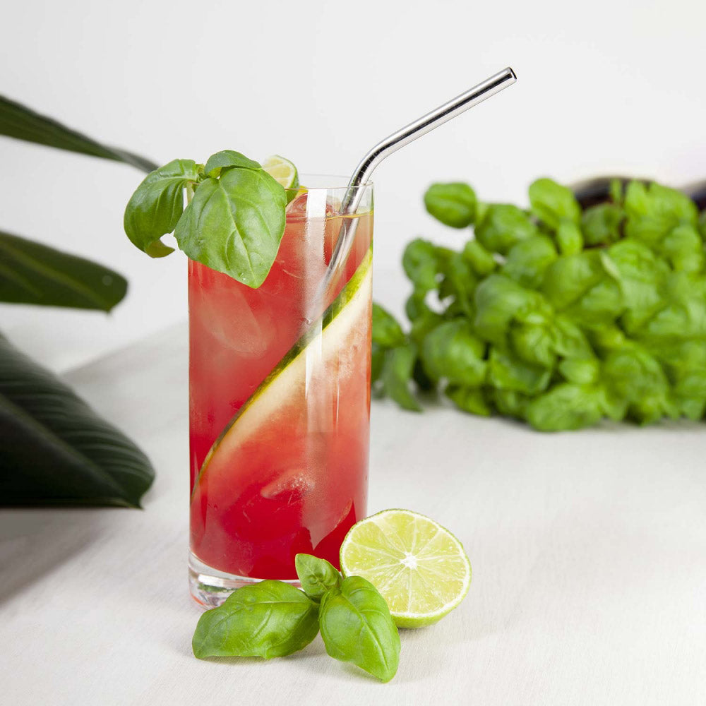 BarBaydos 12-Pack Reusable Stainless Steel Drinking Straws - BPA-Free, Dishwasher Safe Metal Straws for Smoothies, Iced Coffee, Cocktails & Eco-Friendly Home Use