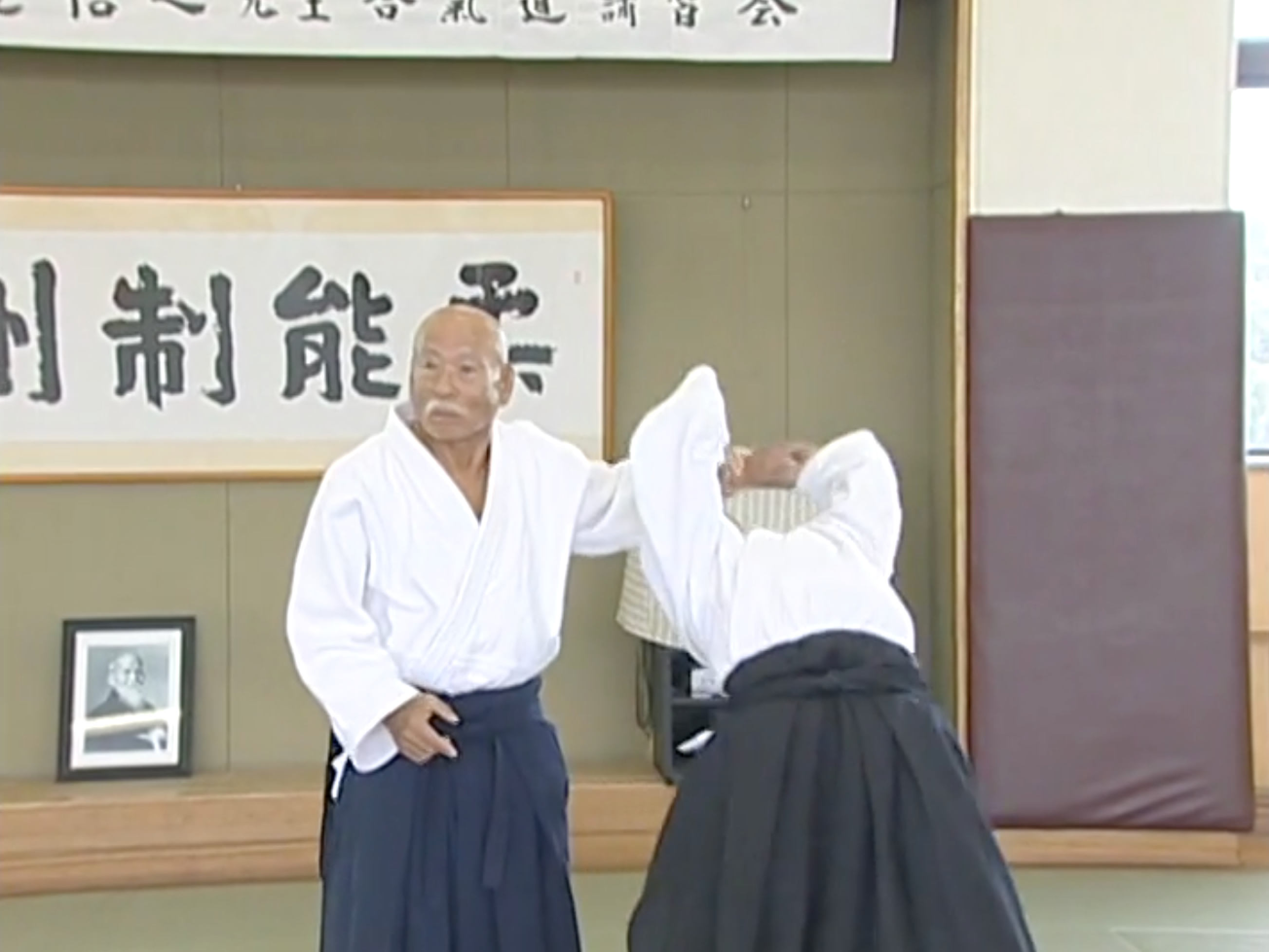 Nobuyuki Watanabe Aikido Training DVD - August 2004 Edition (Used) | Martial Arts Instructional Video for Self-Defense & Fitness