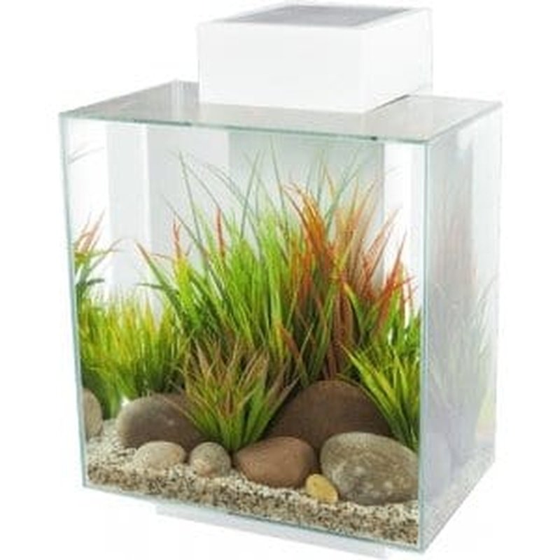 Fluval EDGE 2.0 LED Aquarium Kit - 12 Gallon (46L) White Modern Fish Tank with Energy Efficient Lighting - Perfect for Home, Office & Small Space Aquascaping