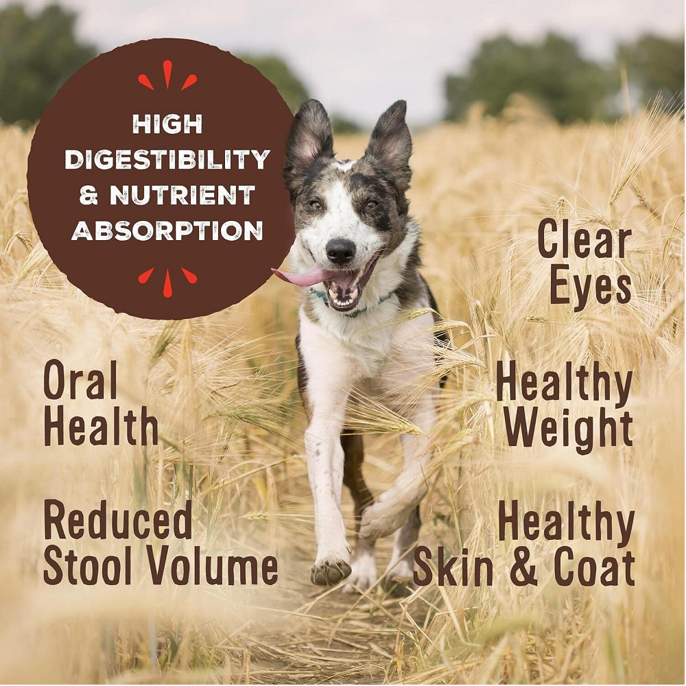 Freeze Dried Chicken Nuggets for Dogs - All Natural, Grain-Free Dog Treats | Perfect for Training, Rewards & On-the-Go Snacks