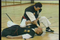 Chin Na Self-Defense DVD by Christian Harfouche - Learn Chinese Martial Arts Techniques for Home Training & Personal Protection