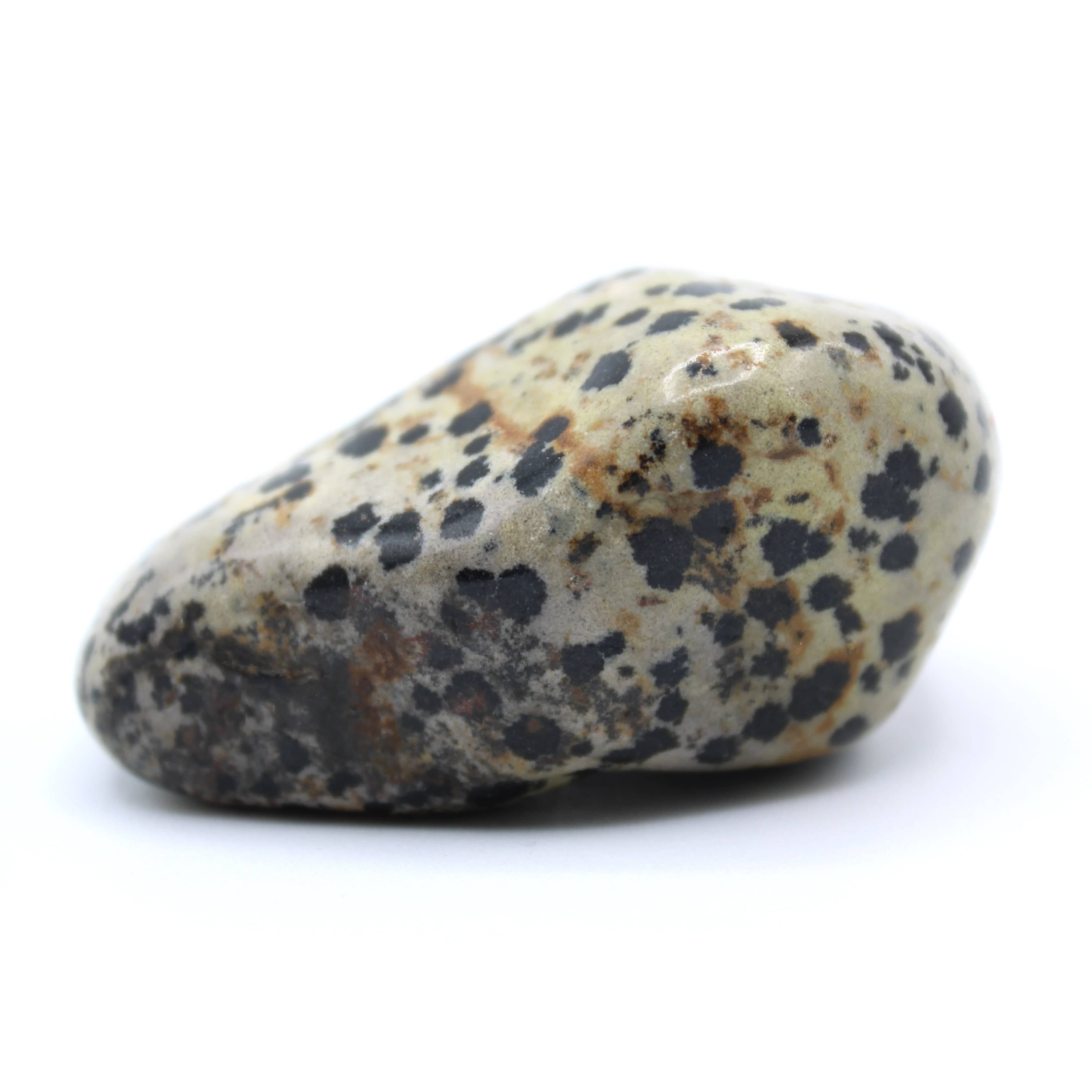Natural Dalmatian Jasper Free Form Stone - Healing Crystal for Meditation, Energy Balance & Home Decor | Perfect for Yoga, Reiki & Spiritual Practices
