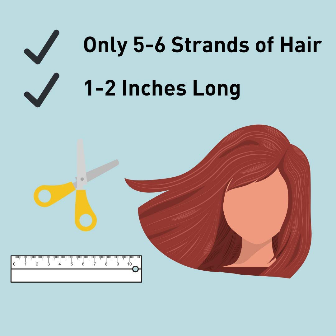 Best Hair Testing Kit for Food Intolerances | 750+ Items Tested | Food, Environmental & Heavy Metal Sensitivity Analysis | Ideal for Health Enthusiasts & Allergy Sufferers